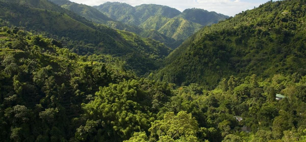 Blue and John Crow Mountains in Jamaica